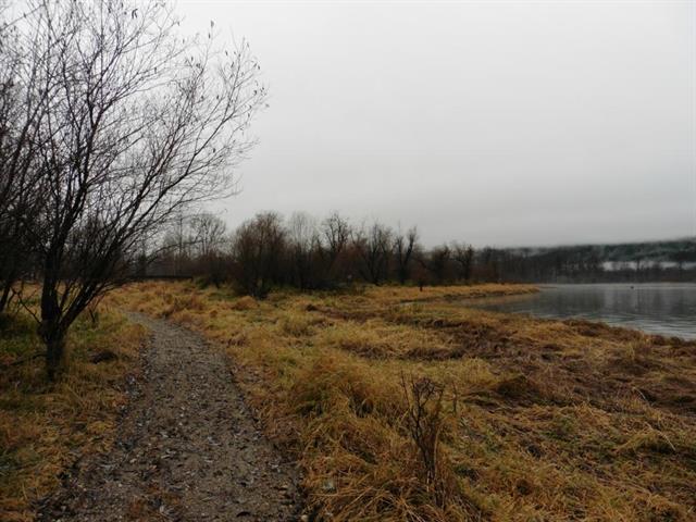 3372 Mabel Lake Road, Lumby, British Columbia  V0E 2G0 - Photo 19 - 10091309
